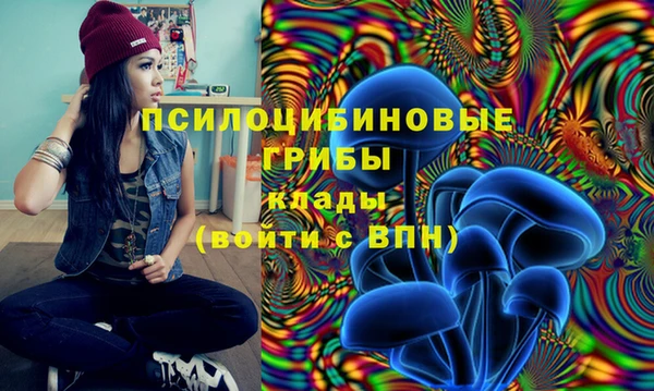 шишки Пролетарск