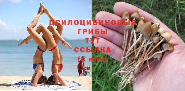 тгк Приозерск
