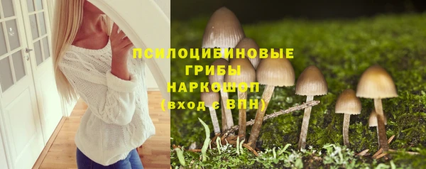шишки Пролетарск