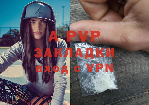 шишки Пролетарск