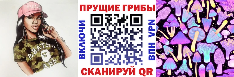 сколько стоит  Алексин  Псилоцибиновые грибы Psilocybe 